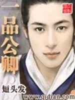 一品公卿有声小说