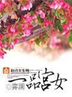 一品宫女全本小说免费