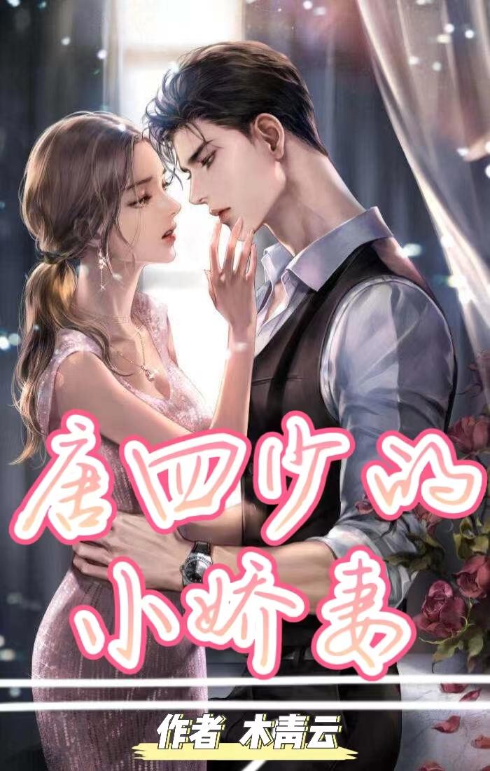 唐四的小说