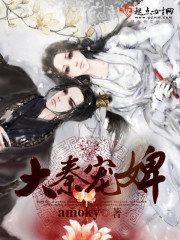 大秦宠婢讲的什么