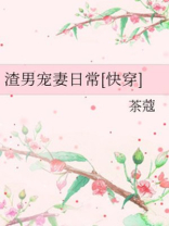 渣男宠妾灭妻她二嫁太子小说