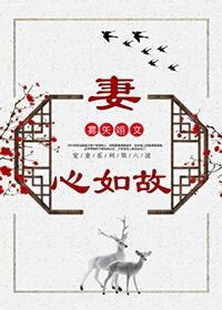 妻心如故全文阅读
