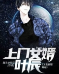 上门女婿叶辰(又名霸婿崛起,最强弃子)
