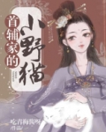 穿成首辅家的小野猫