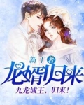 龙婿归来