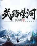 武踏星河