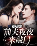 离婚后,前夫夜夜来敲门