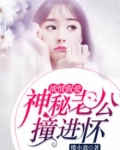 顶级宠婚:高冷老公惹不起