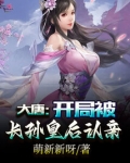 大唐：开局被长孙皇后认亲