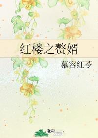 红楼赘婿小说