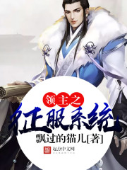 维京征服好人领主