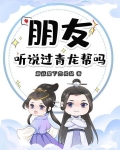 青龙帮是哪里的