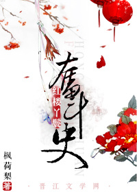 红楼丫鬟记 ...