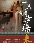 一只嫡女出墙来
