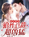 蚀骨燃情:狼性总裁超凶猛