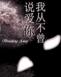 我从不曾说爱你