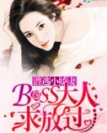 潜逃小娇妻:BOSS大人,求放过