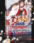 贤妻难当
