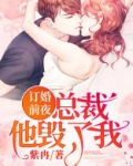 订婚前夜,总裁他毁了我