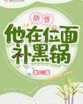 快穿他在位面补黑锅TXT