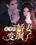 霍爷小说