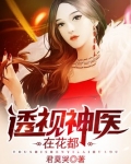 透视神医在花都