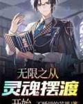 无限之从灵魂摆渡开始