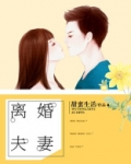 离婚夫妻