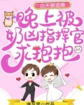 白天被逃婚晚上被奶凶指挥官求抱抱