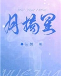 顾星辰周可的小说皓月摘星