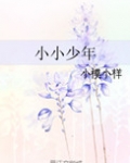 小小少年纪录片完整版在线观看