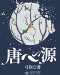 唐心源