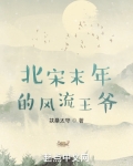 北宋末年的风流王爷主角是哪国的