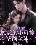 出狱后,顾总的小可怜虐翻全球