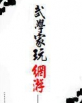 武学家玩网游