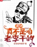 亮剑:真不是咱老李干的