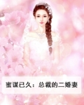 蜜谋已久:总裁的二婚妻