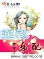 拯救女配的快穿小说
