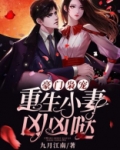 豪门枭宠:重生小妻凶凶哒