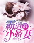 龙少独宠霸道小娇妻