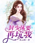 封少的小说