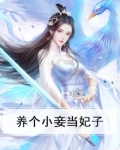 养个小妾当妃子