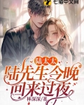 陆太太,陆先生今晚回来过夜