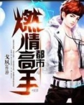 都市燃情高手全文阅读