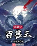 海贼之百兽王