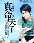 真命天子