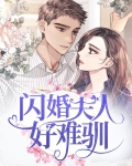 闪婚夫人好难驯