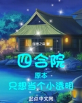 四合院原本只想当个小透明起点