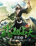 武道临天