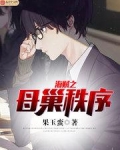 海贼之母巢秩序